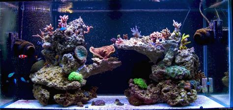 34 Aquascaping Ideas For Inspirations Reef Tank Aquascaping