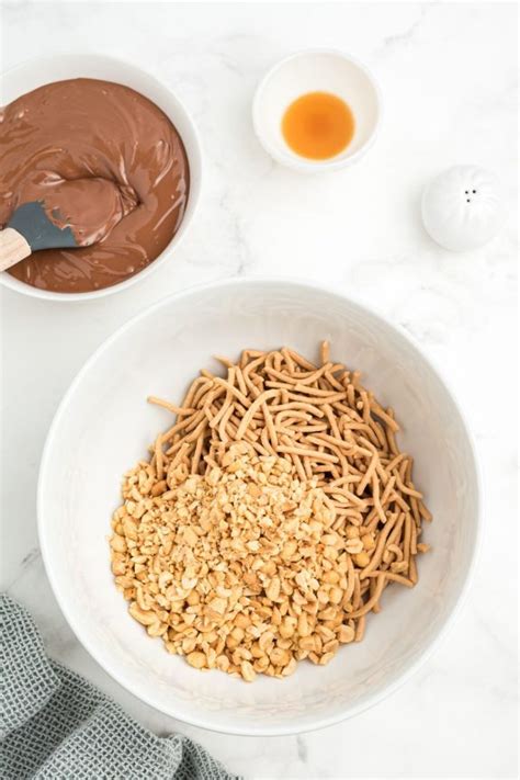 Chocolate Haystack Cookies No Bake Recipe