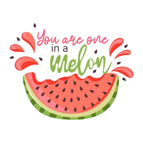 You Are One In A Melon Watermelon With A Spray Of Juice Slice With