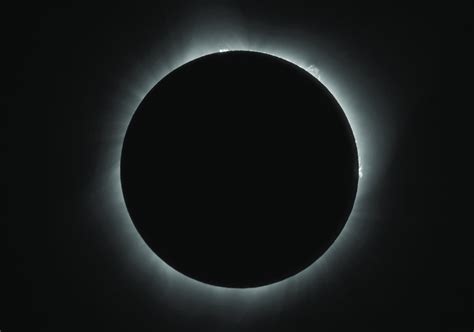 The Solar Corona And The Chromosphere As Photographed During The Third