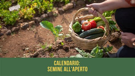 Calendario Semine Degli Ortaggi All Aperto L Orto Con Larens