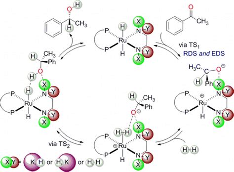 Rux2diphosphine12 Diamine 催化剂对苯乙酮不对称加氢反应机理的揭示journal Of The