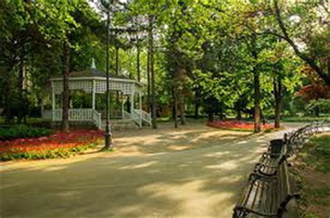 Dunavski Park Dunavska Novi Sad Otvoreni Prostor Mojnovisad