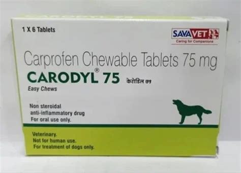75mg Carprofen Veterinary Pet Chewable Tablets at Rs 82 in Nagpur