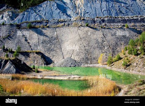 Sauropods Hi Res Stock Photography And Images Alamy