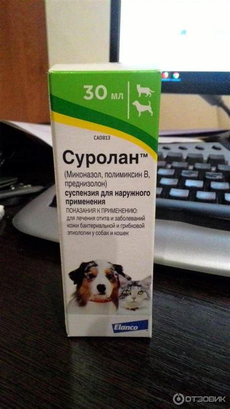 Суролан ушные капли для кошек: инструкция, отзывы, цена