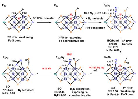 Suggested Reaction Mechanism Of The N Adsorption And Activation The