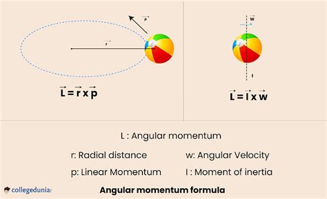 Conservation Of Angular Momentum Law Calculation And Applications