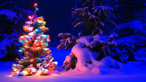 Decorated Christmas Tree In Snow Field HD Christmas Wallpapers | HD ...