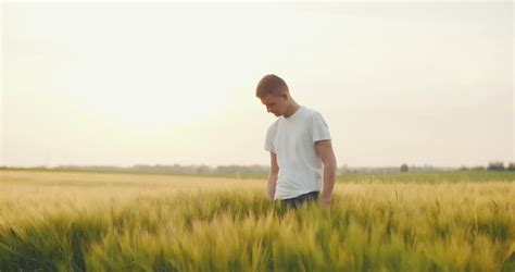 Happy Satisfied Young Man With Arms Outstretched Standing In The Wheat