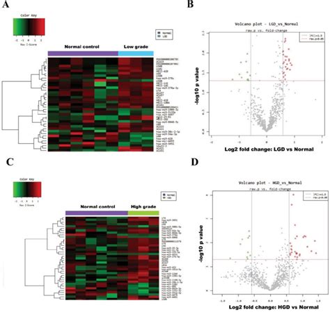 Hierarchical Clustering Heat Map Showing Differential Mirna Expression Download Scientific