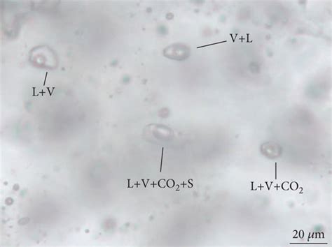 Photomicrographs Of Fluid Inclusion Petrography Ac Primary Fluid