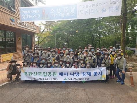 시사프리신문 강북구도시관리공단 “매미나방 방제 환경보호에 나서”