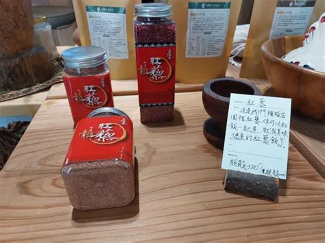 蔗田轉型森林園區！首家「山林製造」品牌概念店屏東登場，打造人與自然的共生場域 Shoppingdesign