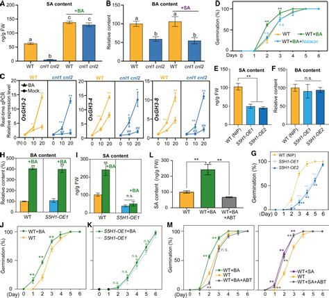 A Peroxisomal Cinnamate Coa Ligase Dependent Phytohormone Metabolic