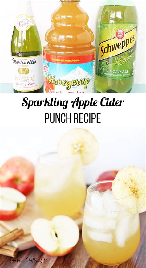 Sparkling Apple Cider Punch Recipe 4 Ingredients The Frugal Girls Artofit