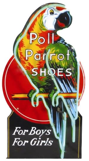 The Antique Advertising Expert A Colorful Character Poll Parrot