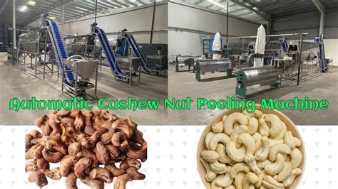 Cashew Peeling Process Cashew Processing Machine For Cashew Factory