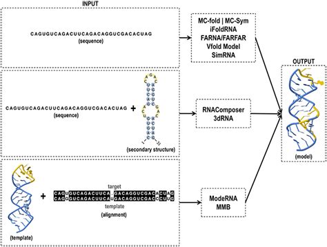 Frontiers Using RNA Sequence And Structure For The Prediction Of