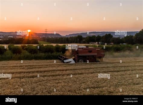 Aerial View Of A Combine Harvester Harvesting An Oats Crop At Sunset