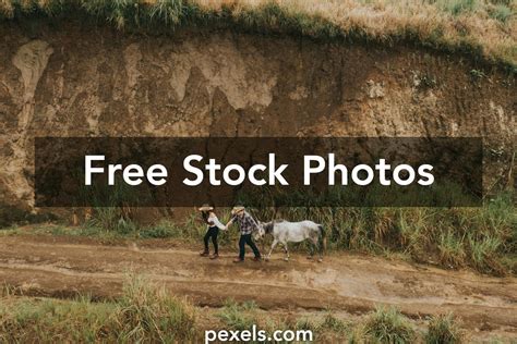 Filipino Farm Photos Download The Best Free Filipino Farm Stock Photos