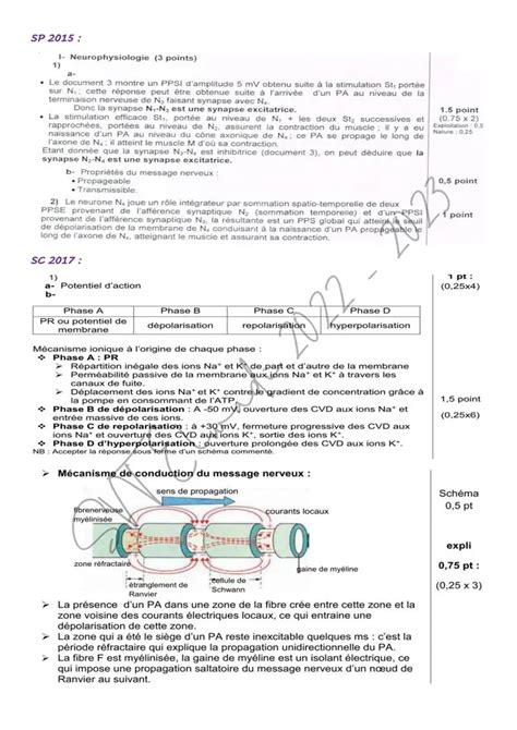 Bac Sc Exp Rimentales Sciences Svt Sujets Du Bac Corrig S