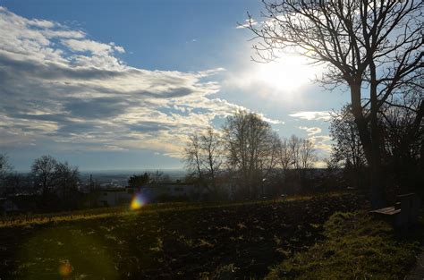 Free Images Landscape Tree Nature Forest Grass Winter Cloud