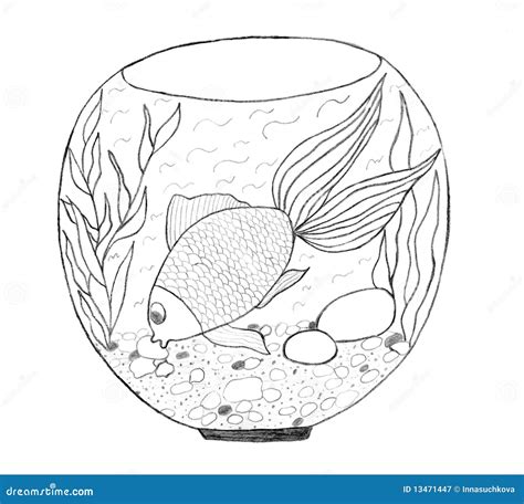 Aquarium Sketch Royalty Free Stock Photography - Image: 13471447