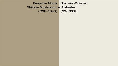 Benjamin Moore Shiitake Mushroom CSP 1040 Vs Sherwin Williams