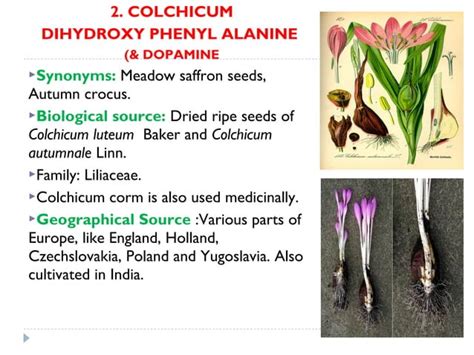 Alkaloids | PPT