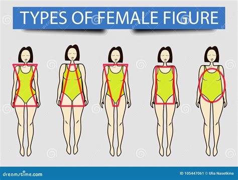 Five Types Of Female Figures Image Stock Illustration Illustration