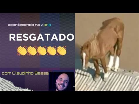 QUANTO SOFRIMENTO Depois De Dias Cavalo Caramelo Finalmente Foi