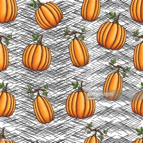 Pumpkin Vine Drawing Photos and Premium High Res Pictures - Getty Images