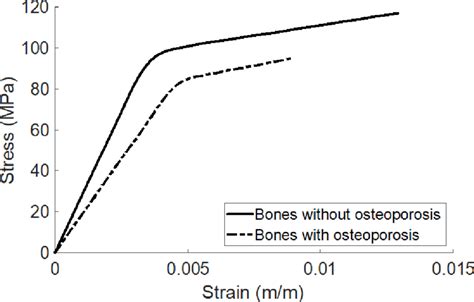 The Stress Strain Curves Of Bones With And Without Osteoporosis This Download Scientific