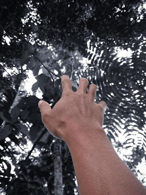 person stock  images  backgrounds