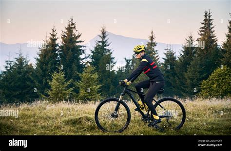 Side View Of Cyclist In Cycling Suit Riding Bike With Coniferous Trees