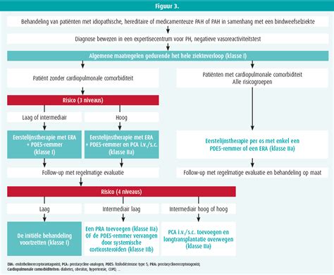 Nieuwe Kijk Op Pulmonale Hypertensie Praktische Boodschappen Voor De