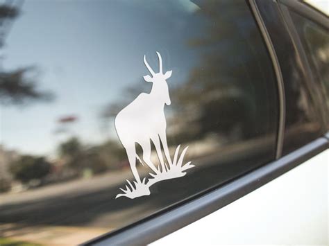 Antelope Pronghorn Decal Sticker Car Decal Laptop Decal Etsy