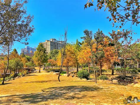 高雄市區最美落羽松景緻，凹子底公園，湖泊倒影、療癒美景 跟著尼力吃喝玩樂＆親子生活