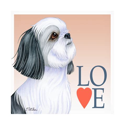 Winston Porter Shih Tzu Love On Canvas By Tomoyo Pitcher Canvas Art