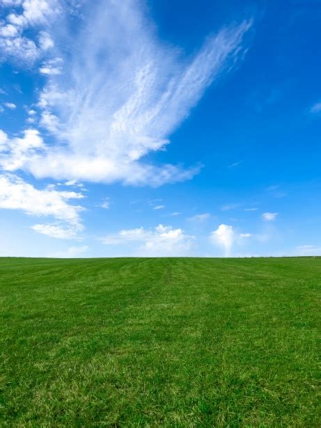 Green Field With Blue Sky Free Stock Photo Public Domain Pictures