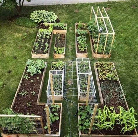 36 Amazing Ideas For Growing A Vegetable Garden In Your Backyard Garden Planning Garden