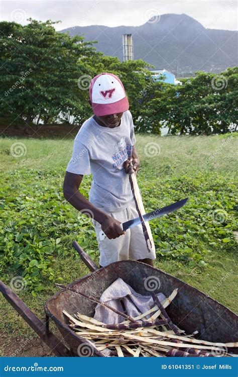 Suger Cane Seller Dominican Republic Editorial Photo Image Of Duarte