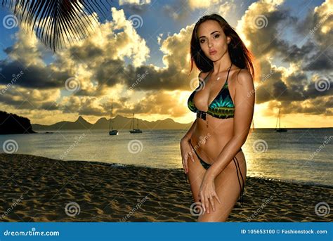 Femme Renversante Sensuelle Dans Le Bikini Posant Assez Sur La Plage Tropicale Photo Stock