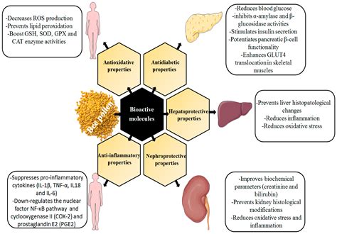 Antioxidants Free Full Text Bee Pollen As Functional Food Insights