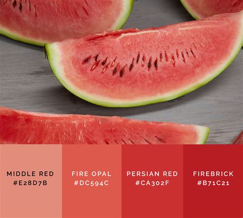 99 Shades Of Red Color With Names Hex Rgb And Cmyk • Colors Explained