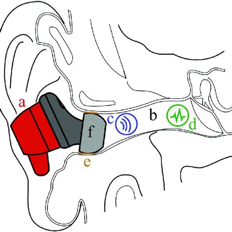 7 Surprising Ways To Unclog Your Ear