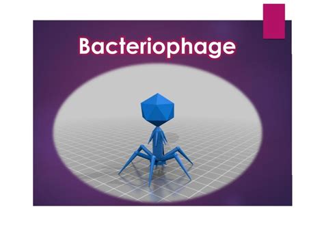 Microbiology Nd Sem Study Material Bsc Botony Studocu