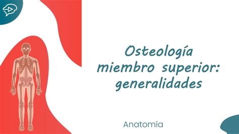 Osteología del Miembro Superior HemoStudent uDocz