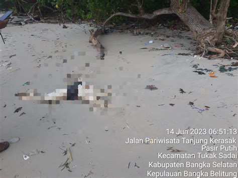 Bikin Geger Mayat Laki Laki Tanpa Kepala Ditemukan Membusuk Di Pantai